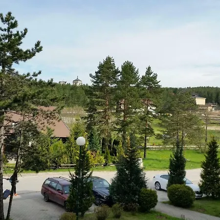 Maja * Zlatibor